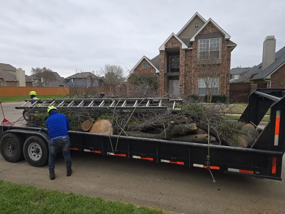 Expert Deadwooding with proper safety equipment in Newburg